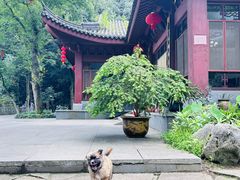 -杭州西湖风景名胜区-三生石