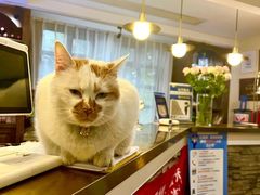 -威廉的太妃糖酒店(杭州西湖青芝坞店)