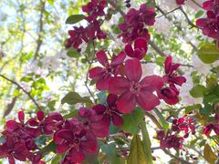 -元大都城垣遗址公园