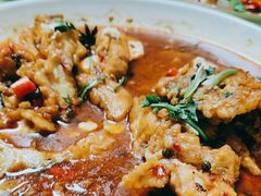 -煲来饱去冷水鱼