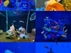 -海合安武汉极地海洋公园