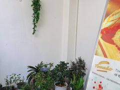 -Tomado绿色烘焙(大尧三路店)