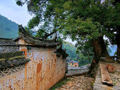 -杨家堂村