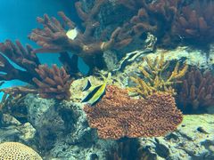 -福州罗源湾海洋世界旅游区