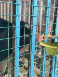 -小蜜蜂农场(凯德七宝购物广场店)