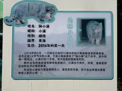 -青藏高原野生动物园