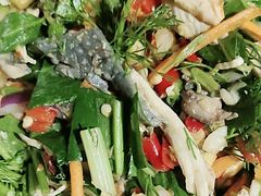 -金塔傣乡·云南民族特色菜·傣味手抓饭(金瓦路店)