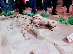 -自贡恐龙博物馆