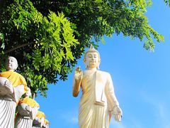 -西双版纳勐泐文化旅游区