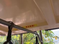 -西双版纳原始森林公园