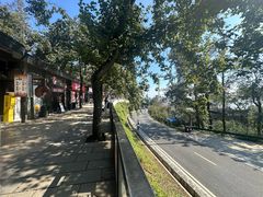 -茶颜悦色(岳麓山顶店)