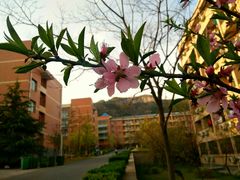 -山东大学(兴隆山校区)