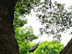 -西园戒幢律寺
