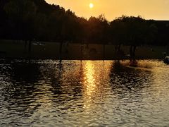 -上海方塔园