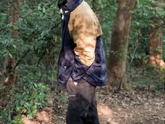 -杭州半山国家森林公园