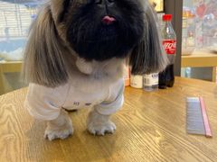 -萌兽医馆·眼科·异宠专科(三里屯店)