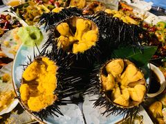海胆-日进一片海.生腌海鲜火锅.宵夜烧烤(三里屯总店)
