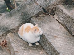 -崂山九水游览区