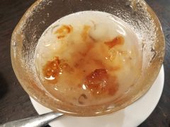 桃胶芦荟蜜-五观堂素食(新华路店)