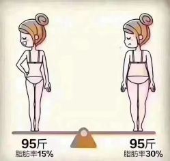 -香薇妮丝女子减肥院