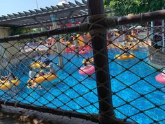 -上海玛雅海滩水公园