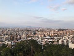 -仙岳公园