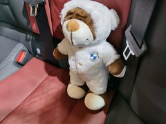 -上海宝信宝马4S店