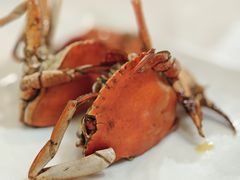 -莲花公园煎蟹(总店)