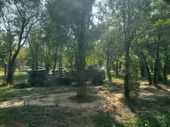 -秦皇岛野生动物园