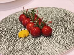 -金粤九号(李公堤店)