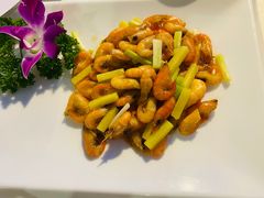 -云中小雅