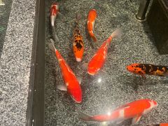 -牛街·马辈儿涮肉(牛街总店)