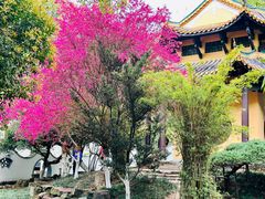 -岳麓山风景名胜区