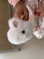 -IMON·HANSA潮玩玩偶毛绒玩具(通州万象汇店)