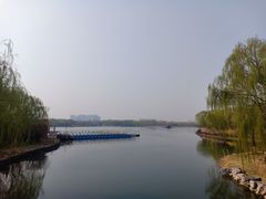 -大兴滨河森林公园