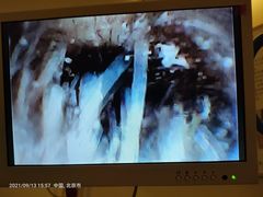 -乐老大耳道·可视采耳·禅洗·推拿(大成直营店)