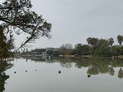 -江心屿景区