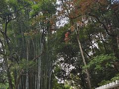 -广东温泉宾馆