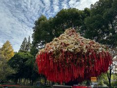 -狼山风景名胜区