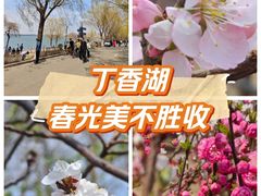 -丁香湖公园