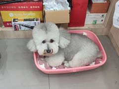 -宠颐生动物医院·小陆分院
