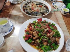 -煲来饱去冷水鱼