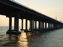 -宝安西湾红树林湿地公园