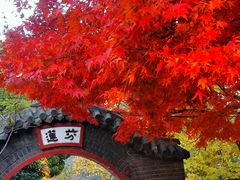 -湛山寺