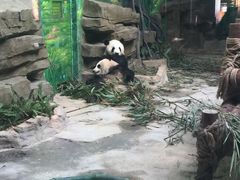 -灵玲国际马戏城