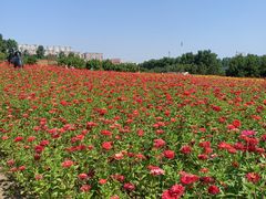 -长春世界雕塑园冰雪艺术天地