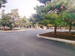 -北陵公园