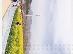 -西海岸生态观光园
