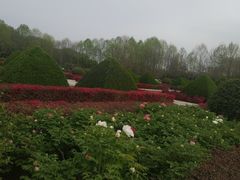 -洛阳市隋唐城遗址植物园
