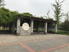-永定河休闲森林公园